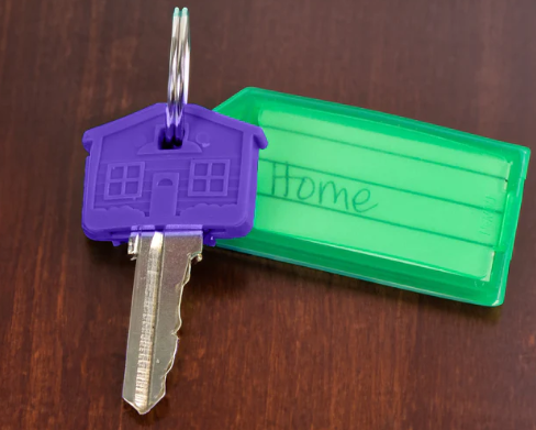 Misc House Shape Plastic Key Cap Cover Assorted Colors (HKCAP)