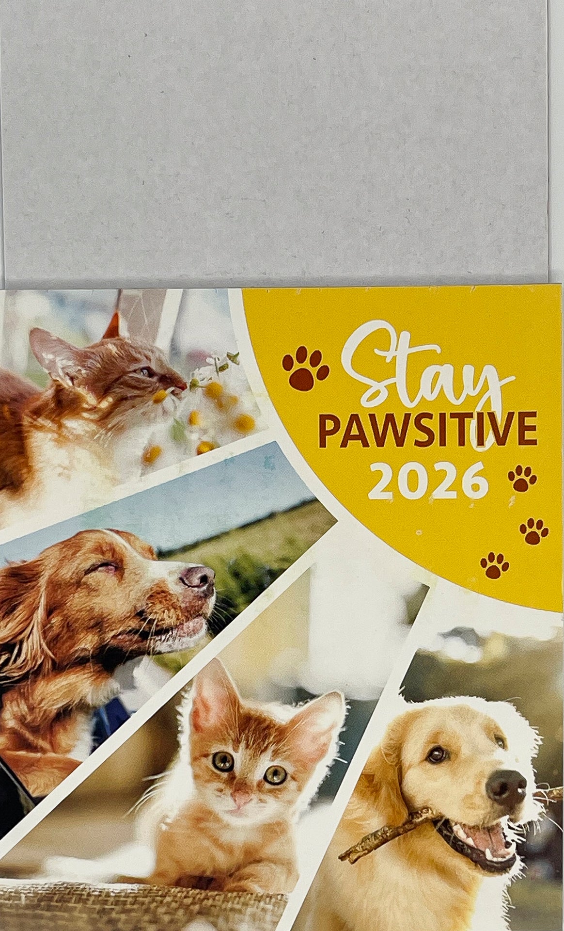 2026 Tear-Off Calendar with Business Card Magnet 5 Pack ( TMC02 TMC07 TMC09 TMC10 TMC14