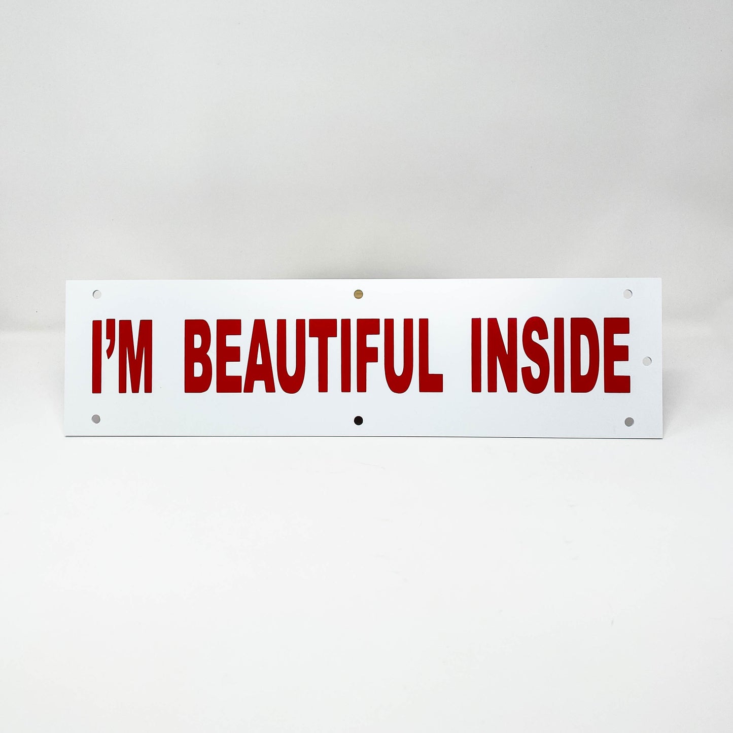 Rider I'm Beautiful Inside 18" Medium Size (RBEAU)