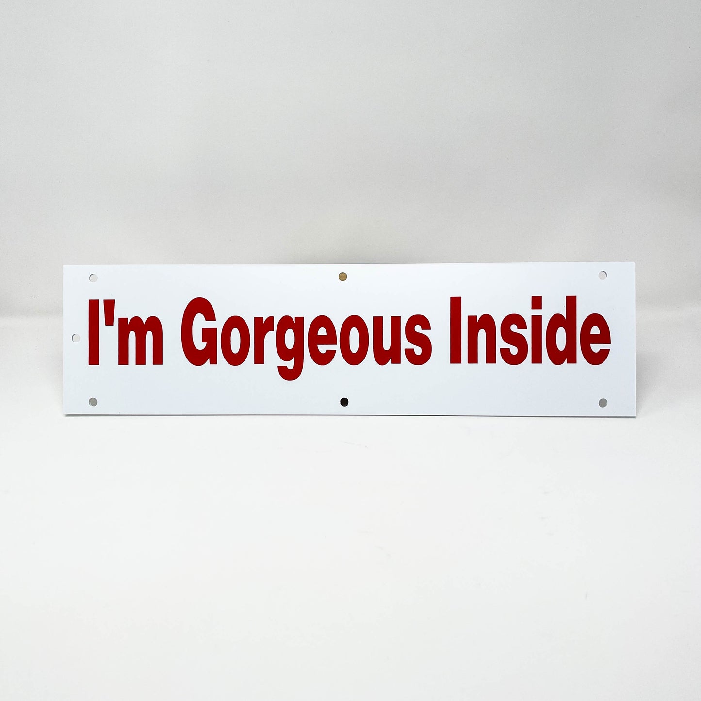 Rider I'm Gorgeous Inside 18" Medium Size (RGORG)