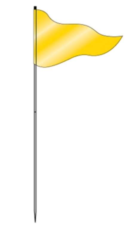 Flag Steel Pole 72" Solid Saffron Gold (FLSYS)