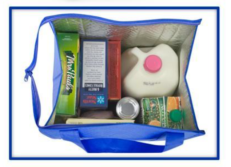 Insulated Shopping Bag Blue heavy weight insulated bag holds up to 100lbs (ISBAG)