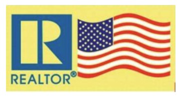 PIN- Small Realtor Logo / American Flag Pin - GOLD or Silver (BGPIN BSPIN)
