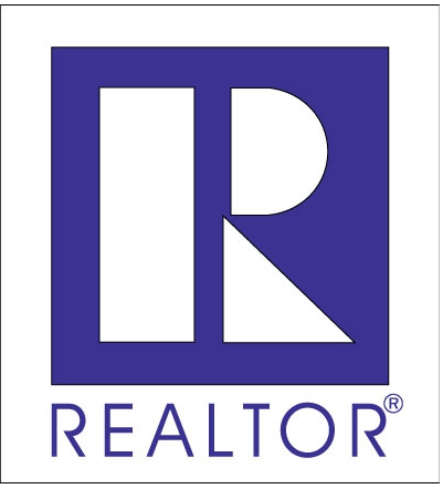 Magnet REALTOR car magnet large 7 1/2" tall x 7" Assorted (RMBLU RMWHT)