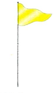 Flag Steel Pole 72" Solid Yellow (FSSYL)